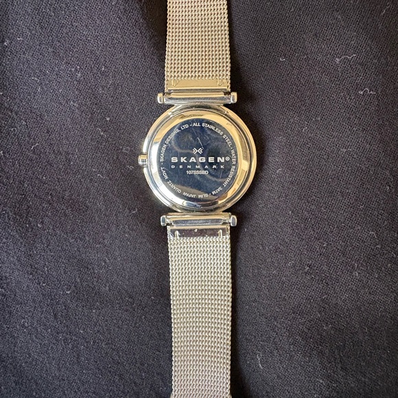 Skagen Silver Watch with Black Dial